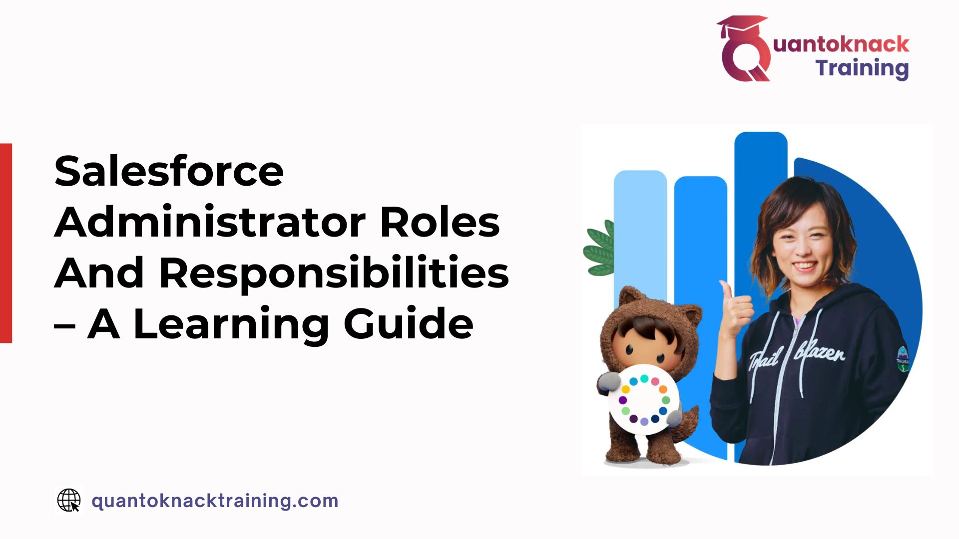 salesforce admin role and responsibility