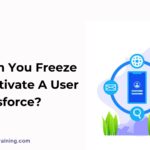 How Can You Freeze Or Deactivate A User On Salesforce?