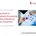 Why​‍​‌‍​‍‌​‍​‌‍​‍‌ Built-In Payment Processing Makes Salesforce More Powerful